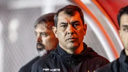 Fábio Carille se torna alvo do torcida, que elogia trabalho do treinador