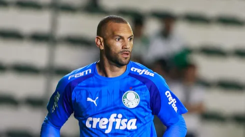 Weverton, goleiro do Palmeiras pode ser punido no STJD