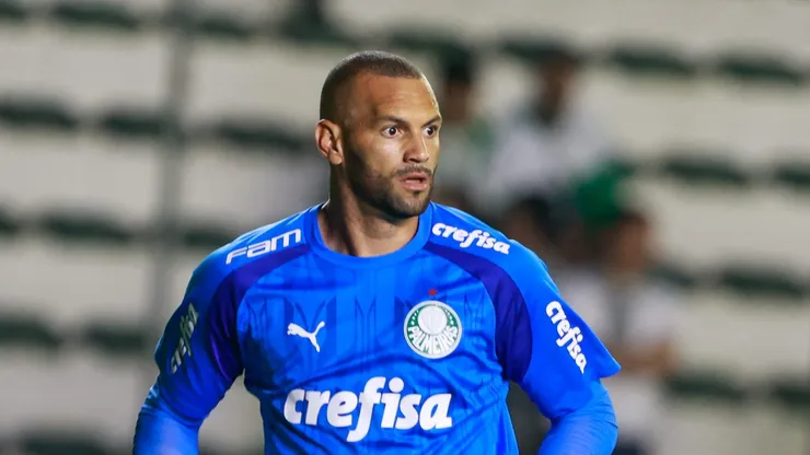 Weverton, goleiro do Palmeiras pode ser punido no STJD