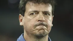 PR - CURITIBA - 26/10/2024 - BRASILEIRO A 2024, ATHLETICO-PR X CRUZEIRO - Fernando Diniz tecnico do Cruzeiro durante partida contra o Athletico-PR no estadio Arena da Baixada pelo campeonato Brasileiro A 2024. Foto: Gabriel Machado/AGIF