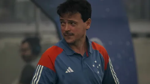 MG - BELO HORIZONTE - 23/10/2024 - COPA SUL-AMERICANA 2024, CRUZEIRO X LANUS - Fernando Diniz tecnico do Cruzeiro durante partida contra o Lanus no estadio Mineirao pelo campeonato Copa Sul-Americana 2024. Foto: Fernando Moreno/AGIF