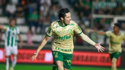 Palmeiras e Fortaleza entram em campo pela 31ª rodada.