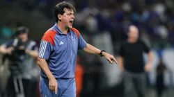 Fernando Diniz, técnico do Cruzeiro durante partida contra o Bahia no estadio Mineirao pelo campeonato Brasileiro A 2024