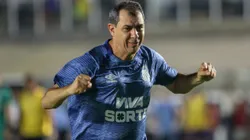 90% do elenco do Santos será demitido junto com Carille… quem fica?