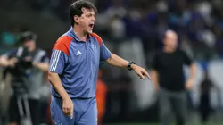 Fernando Diniz, tecnico do Cruzeiro durante partida contra o Bahia no estadio Mineirao pelo campeonato Brasileiro A 2024