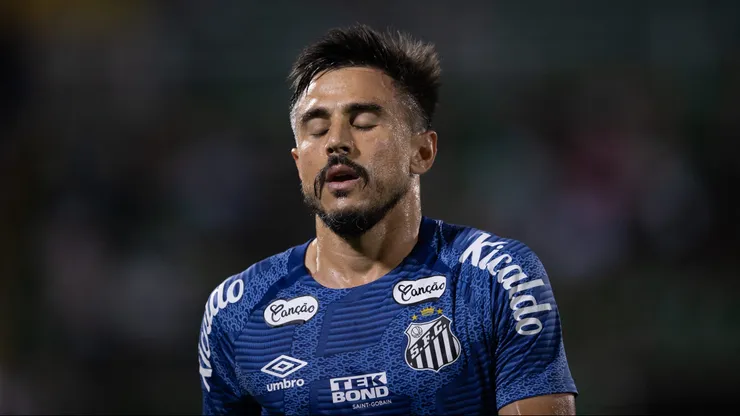 Santos perdeu para a Chapecoense na última rodada da Série B. Foto: Liamara Polli/AGIF