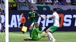 Associated Press / Alamy Stock Photo | Juventude e Palmeiras se enfrentam pela 30ª rodada do Brasileirão
