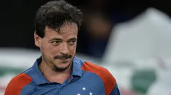 Fernando Diniz tem confirmação no Cruzeiro para 2025