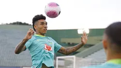 Igor Jesus, do Botafogo, será titular mais uma vez na Seleção Brasileira de Dorival Júnior. Foto: Rafael Ribeiro/CBF