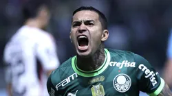 Dudu, do Palmeiras, no Brasileirão. Foto: Marcello Zambrana/AGIF