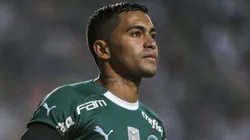 Dudu é o maior ídolo do Palmeiras dos últimos 10 anos e soma 12 títulos no Allianz Parque