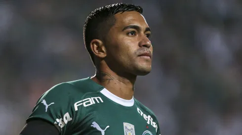 Dudu é o maior ídolo do Palmeiras dos últimos 10 anos e soma 12 títulos no Allianz Parque