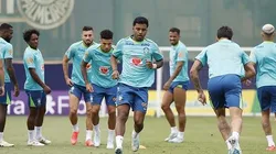 Seleção Brasileira terá dois jogos em outubro. Foto: Rafael Ribeiro/CBF