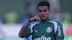 Palmeiras não deve contar com Dudu em 2025.