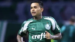 Dudu volta a ser assunto no mercado da bola, segundo jornalista