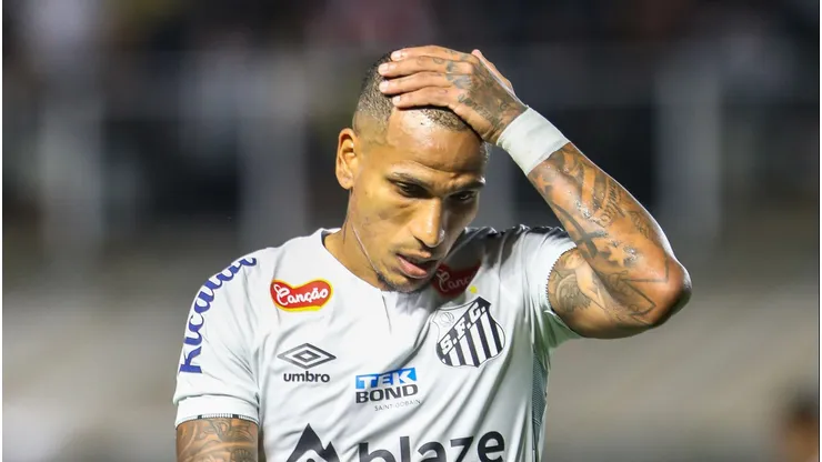 Santos tenta acesso para a Série A. Foto: Reinaldo Campos/AGIF