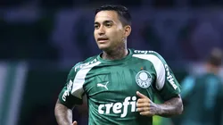 Dudu ainda não marcou após retornar da grave lesão