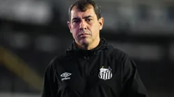 Fabio Carille técnico do Santos em partida pela equipe. Foto: Reinaldo Campos/AGIF