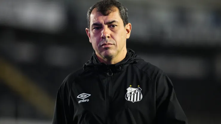Fabio Carille técnico do Santos em partida pela equipe. Foto: Reinaldo Campos/AGIF