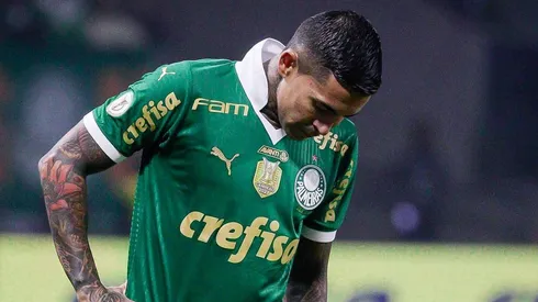 Dudu rompeu contrato com a Adidas e está à procura de novo fornecedor esportivo