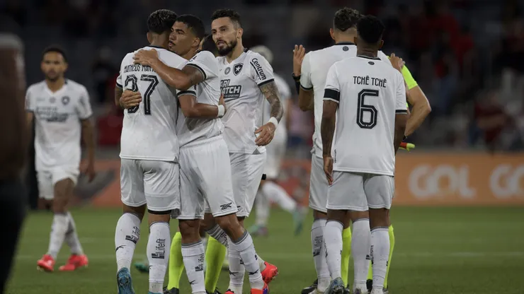 Jogadores do Botafogo comemoram a vitoria no final da partida contra o Athletico-PR. Foto: Hedeson Alves/AGIF