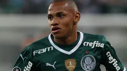 Jhon Jhon em tempos de Palmeiras - Foto: Cesar Greco