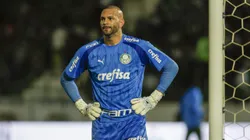 Weverton durante partida do Palmeiras contra o Cuiabá