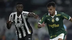 Palmeiras x Botafogo pelo Brasileirão. Foto: Jorge Rodrigues/AGIF