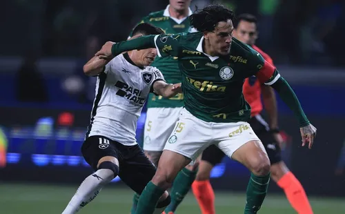 Botafogo x Palmeiras. Foto: Ettore Chiereguini/AGIF