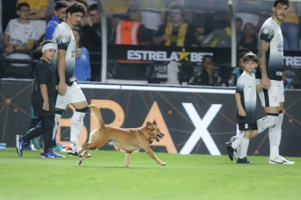 Partida também contou com a presença de um cachorro. Foto: Leonardo Hubbe/AGIF