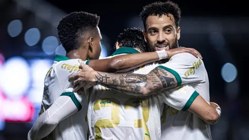 Palmeiras na briga pelo tricampeonato do Brasileirão. Foto: Isabela Azine/AGIF