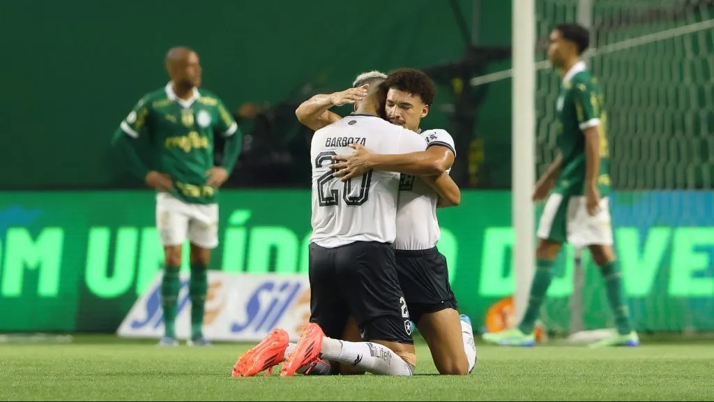 Botafogo tem levado vantagem diante do Palmeiras - Foto: Joisel Amaral/AGIF.
