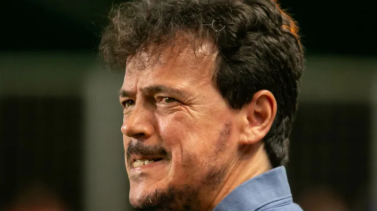 Fernando Diniz, ex-técnico do Cruzeiro