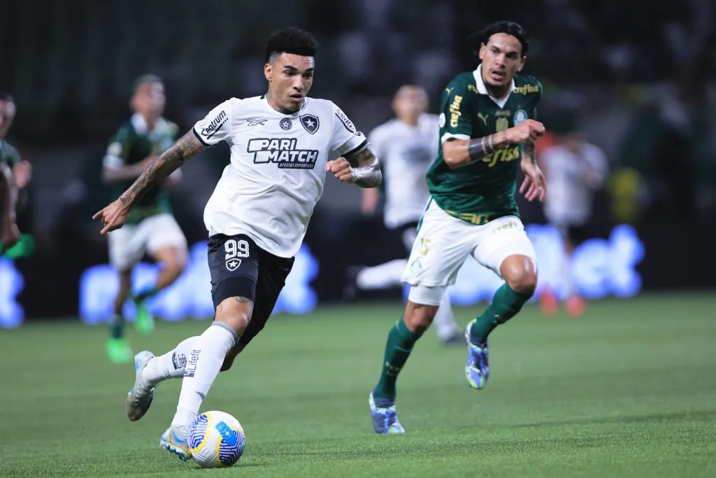 Botafogo faz grande partida, vence o Palmeiras e fica muito próximo do título do Brasileirão. Foto: Ettore Chiereguini/AGIF