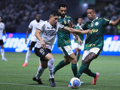 Botafogo vence Palmeiras e volta a liderança do Brasileirão