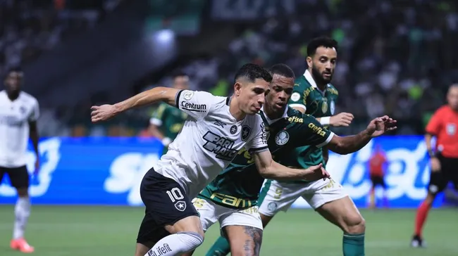 Foto: Ettore Chiereguini/AGIF – Palmeiras perdeu de 3 a 1 para o Botafogo e caiu para o segundo lugar do Campeonato Brasileiro.