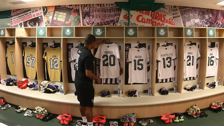 (Divulgação/Botafogo FR)