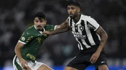 Palmeiras e Botafogo brigam pela liderança.