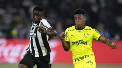 Botafogo enfrenta Palmeiras no Brasileirão. Foto: Jorge Rodrigues/AGIF