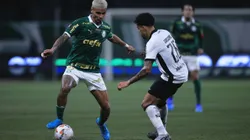 Palmeiras e Botafogo disputam a liderança pela 36º rodada do Brasileirão Betano