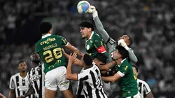 Palmeiras e Botafogo fazem clássico de favoritos na estreia no Brasileirão (Foto: Andre Paes / Alamy Stock Photo)