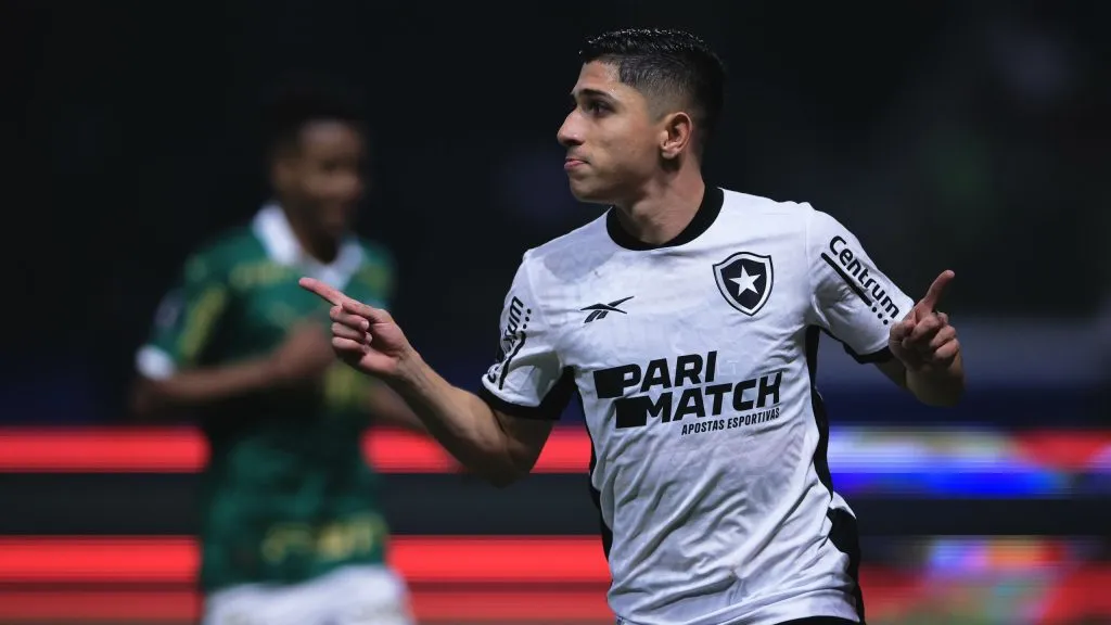 Palmeiras x Botafogo no Allianz Parque. Foto: Ettore Chiereguini/AGIF