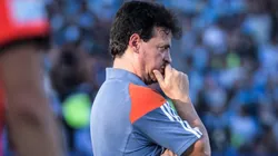 Fernando Diniz fracassou na final da Copa Sul-Americana e perdeu apoio no Cruzeiro