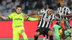 Palmeiras x Botafogo vai decidir rumos do Brasileirão Betano 2024 - Foto: Cesar Greco/Ag. Palmeiras