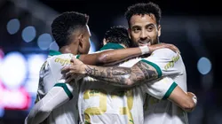 Veiga jogador do Palmeiras comemora seu gol durante partida contra o Atlético-GO no Estádio Antônio Accioly pelo Campeonato Brasileiro A 2024. Foto: Isabela Azine/AGIF