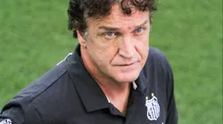 Cravou: Luis Castro fica longe e Santos tem Cuca agora no foco