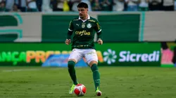 Atlético-GO encara o Palmeiras pela 35ª rodada.