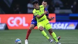 Enquanto o Palmeiras briga pelo título, o Bahia quer voltar a vencer depois de cinco jogos e conquistar uma vaga na Libertadores