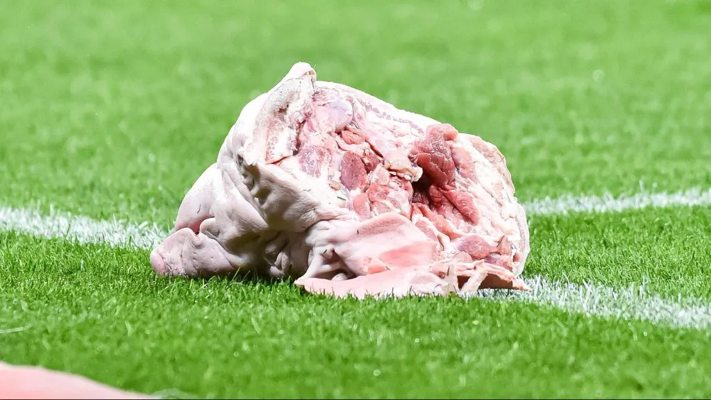 Cabeça de porco foi arremessada no gramado - Foto: IMAGO/Sports Press Photo.