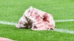 Cabeça de porco foi arremessada no gramado em Corinthians x Palmeiras.